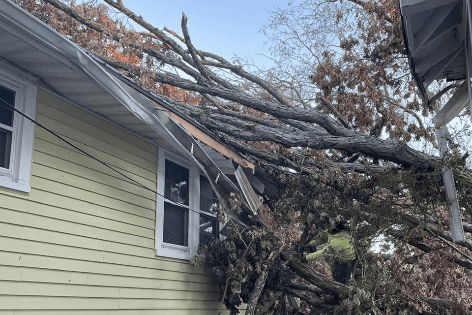 Emergency tree service in Asheville NC – fallen tree on house removed quickly and safely