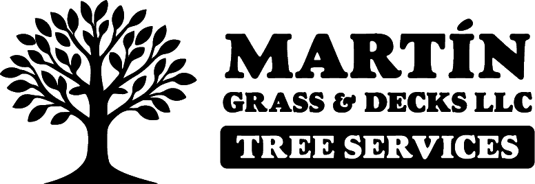 martin logo start v1 newblack 1