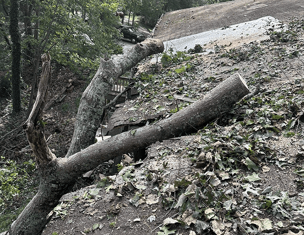 Storm clean up service in Asheville NC – removing fallen trees, limbs, and debris after storm damage