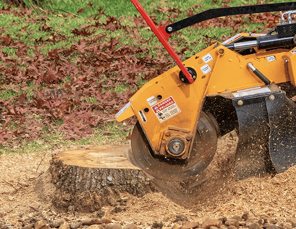 Stump grinding service in Asheville NC – professional removal of tree stumps for a clean yard finish