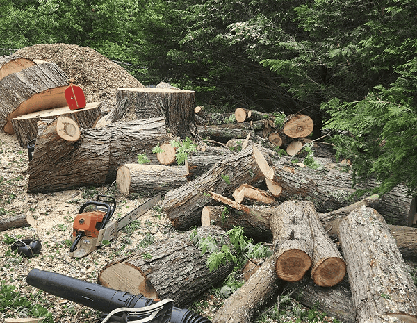 Fallen tree removal in Asheville NC – safe and efficient tree service with chainsaw