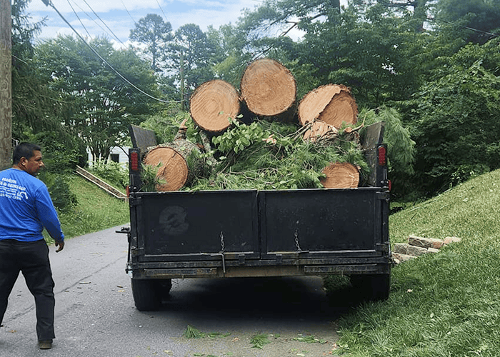 Tree service in Asheville NC – professional crew hauling away large cut tree logs and debris